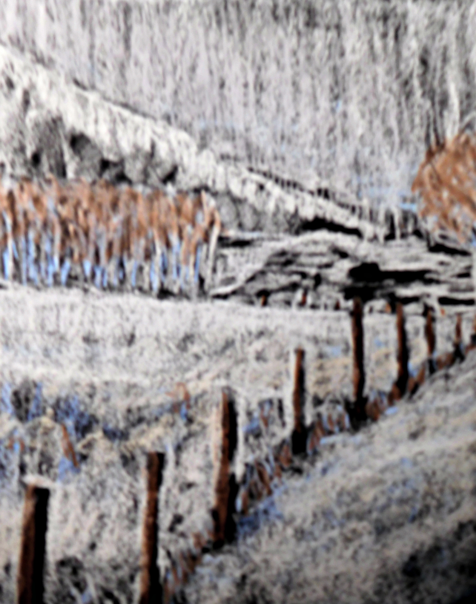 Click here to view snow scene by cynthia uden